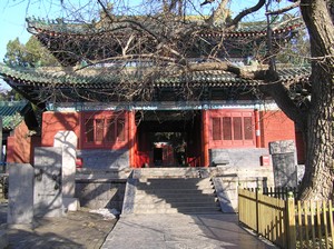 The Shaolin Temple