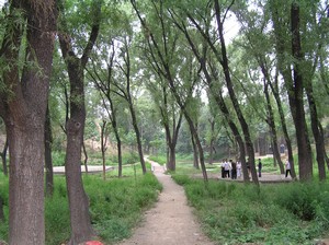 A Green Area, Chenjiagou