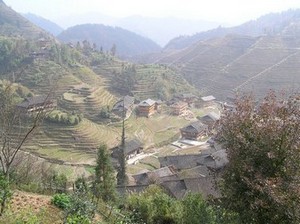 One of the Long Ji Rice Terraces near Longsheng