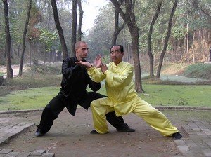 Chen Zhao Sen pushing hands with student